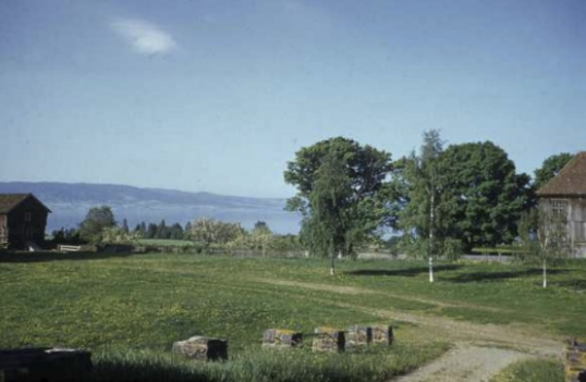 ringnes gård, ottestad