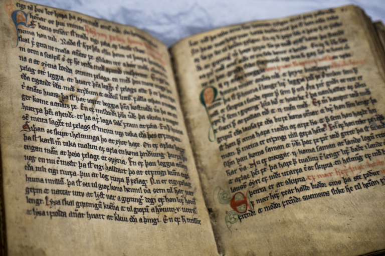Read more about the article Landslovutstillingen